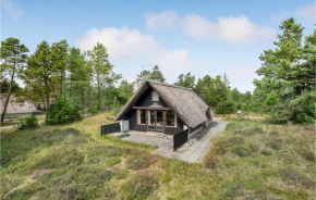 3 Bedroom Nice Home In Blåvand